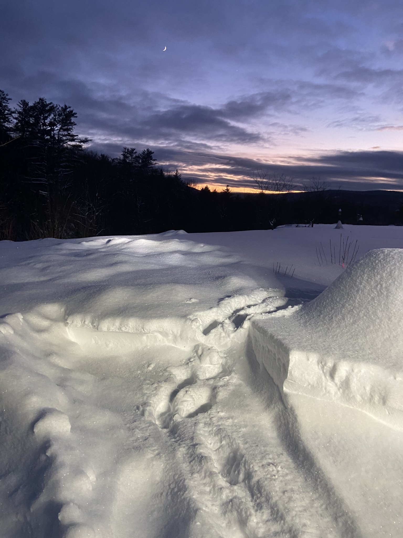 12991308-2F6A-4A41-8586-04C26C1F62F3.jpeg