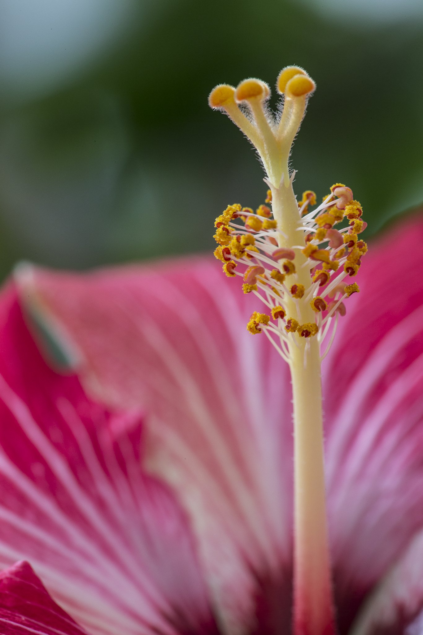 20150320-_Z6U1735.jpg