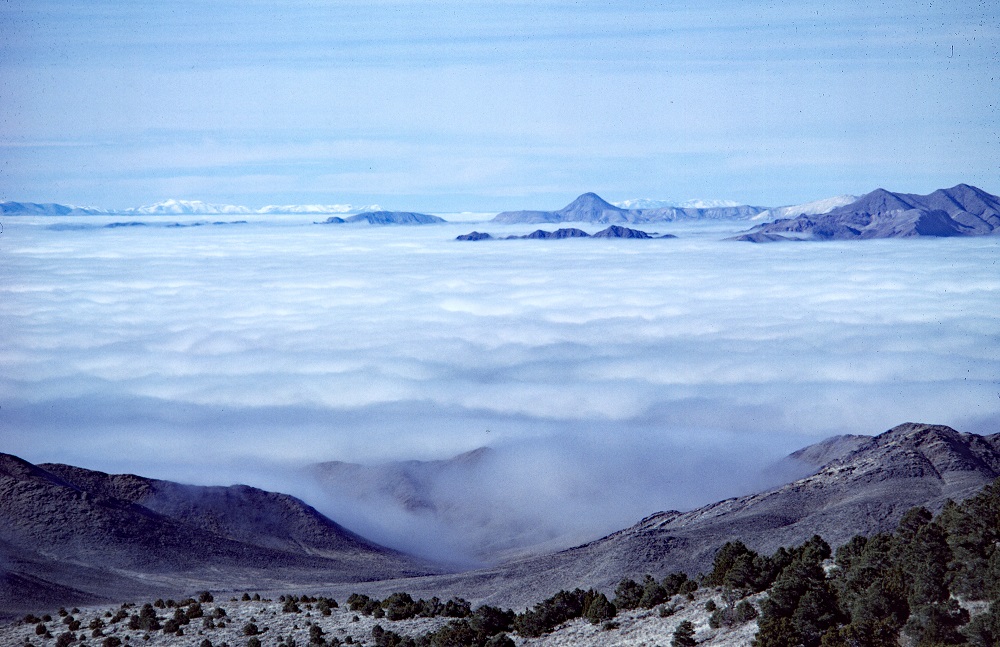 2020-12-30-0007r.jpg