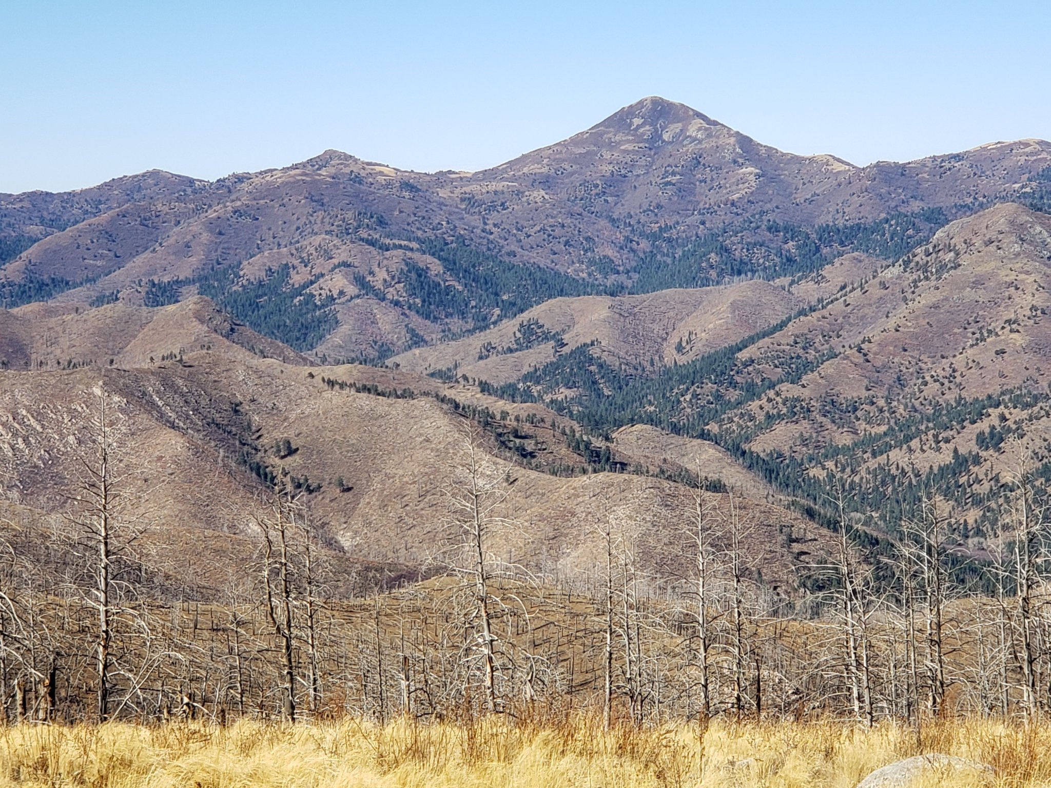 20201111_122215.jpg