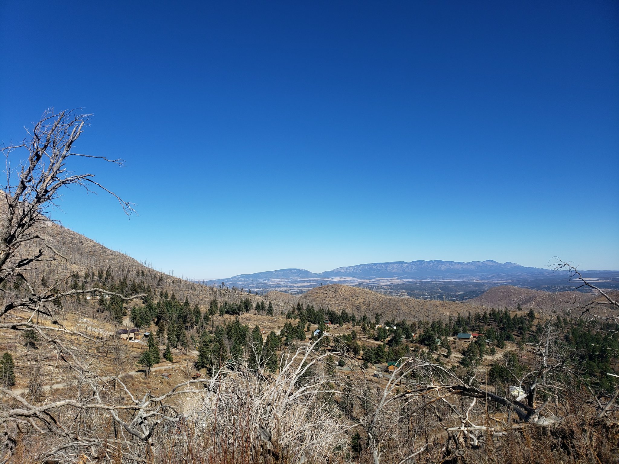 20201111_124008.jpg