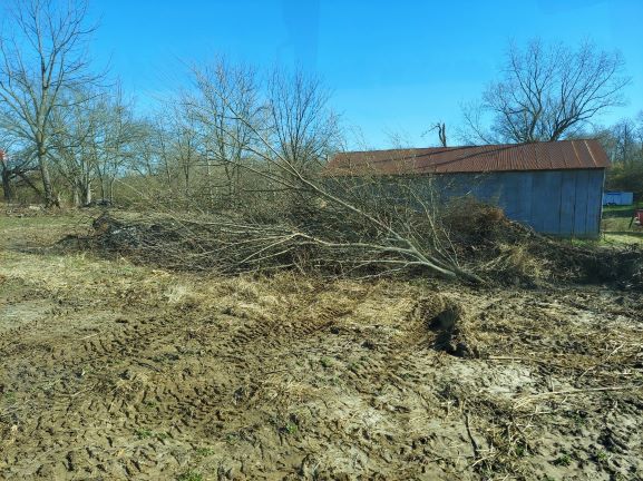 20201128_105922 resize.jpg