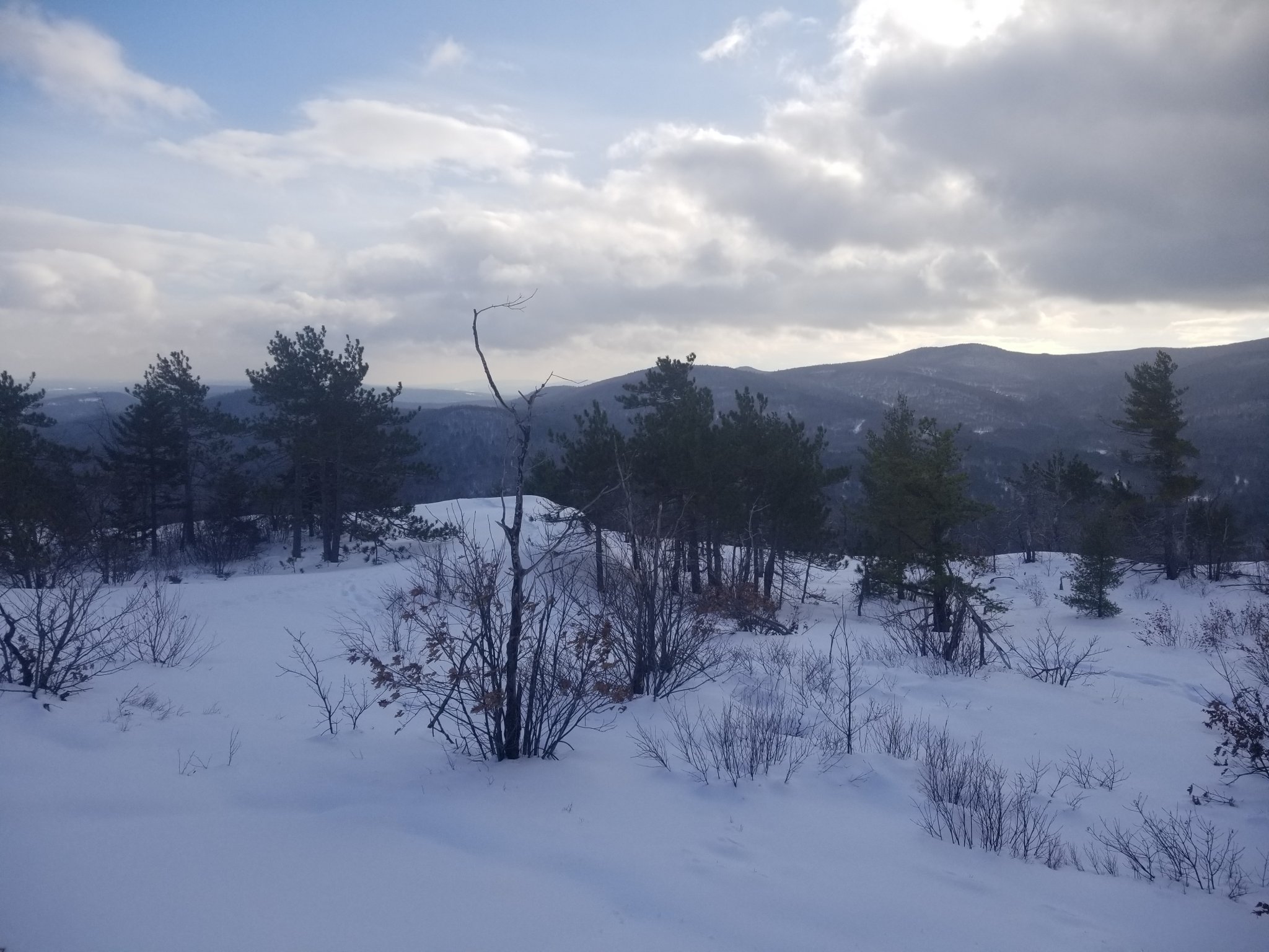 20201222_131408.jpg