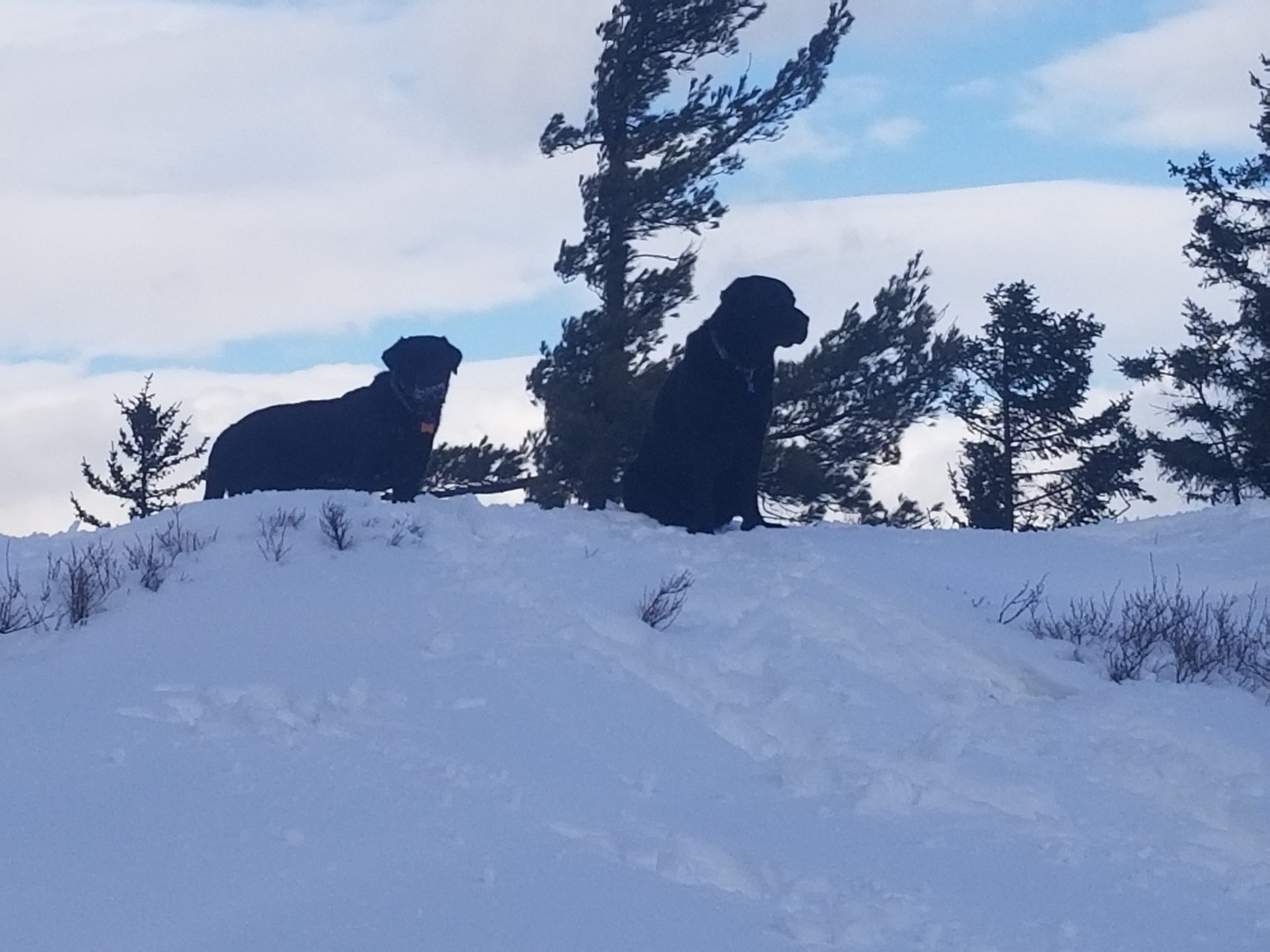 20201222_131415.jpg