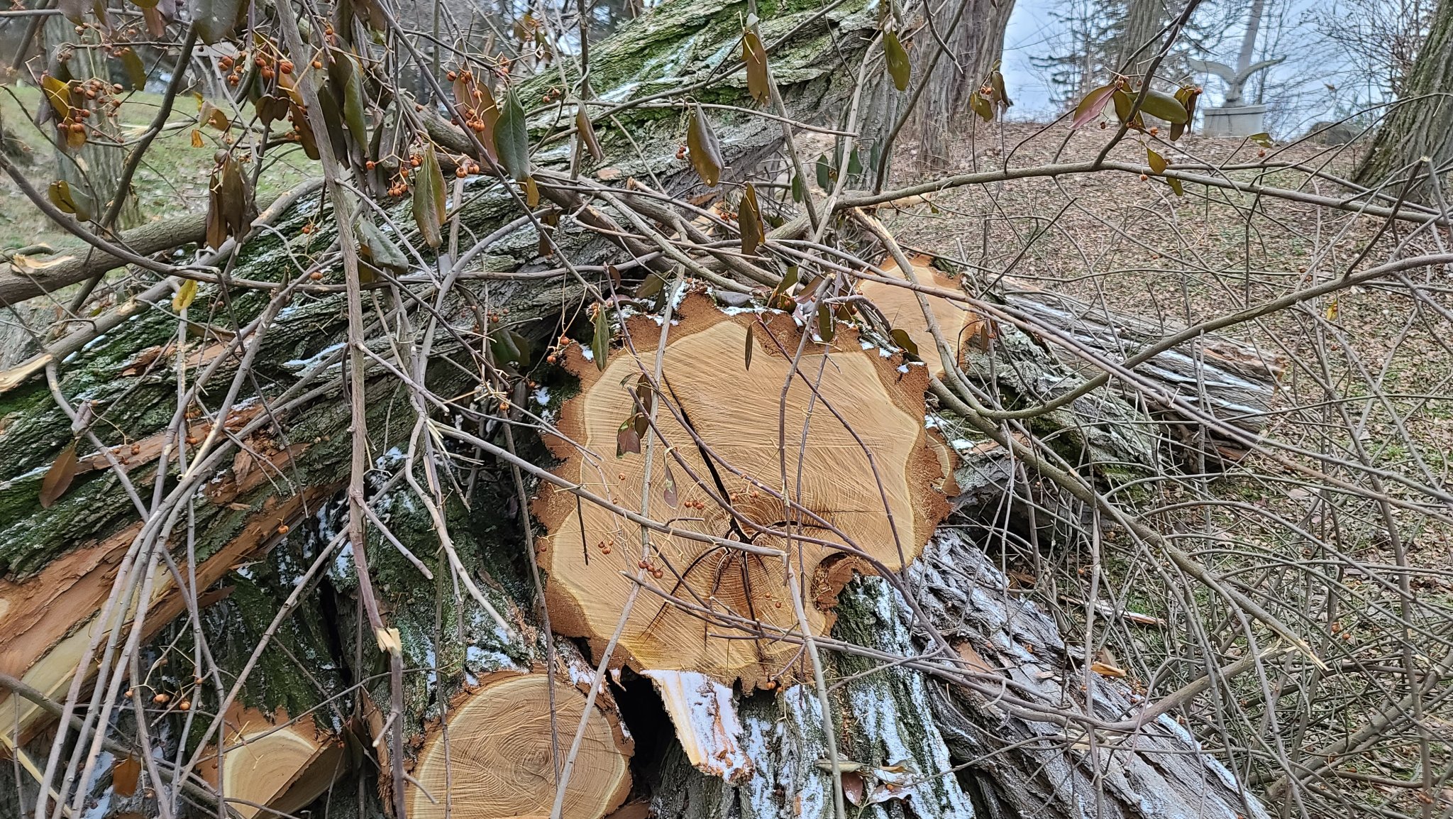 20220223_173836.jpg