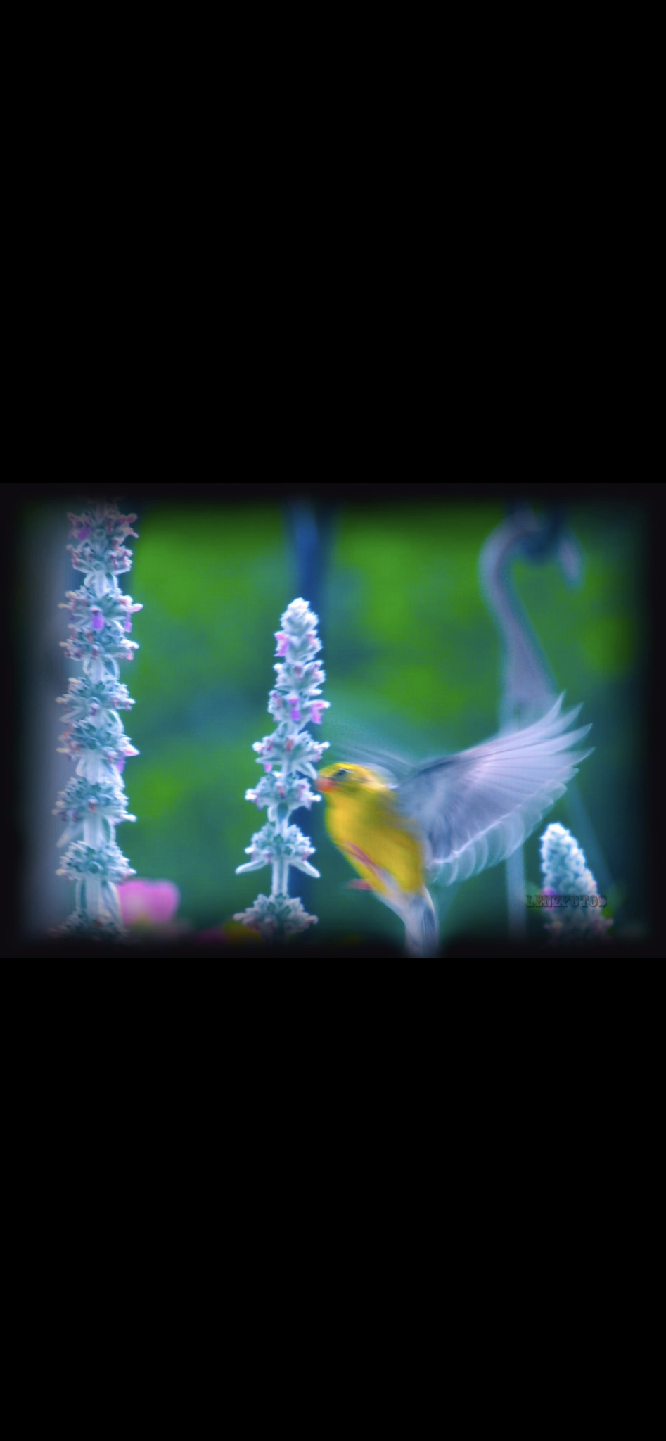 47F93A97-1394-49F8-BBBD-762FCFF1C876.png