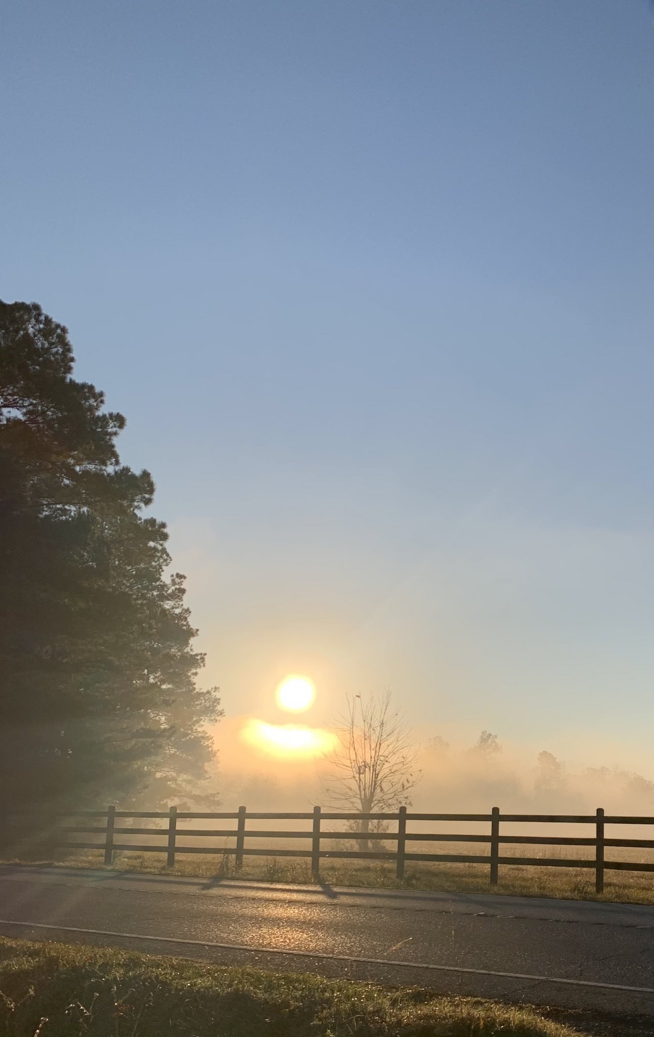 74C74163-5E09-45E0-B222-294141C1E588.jpeg