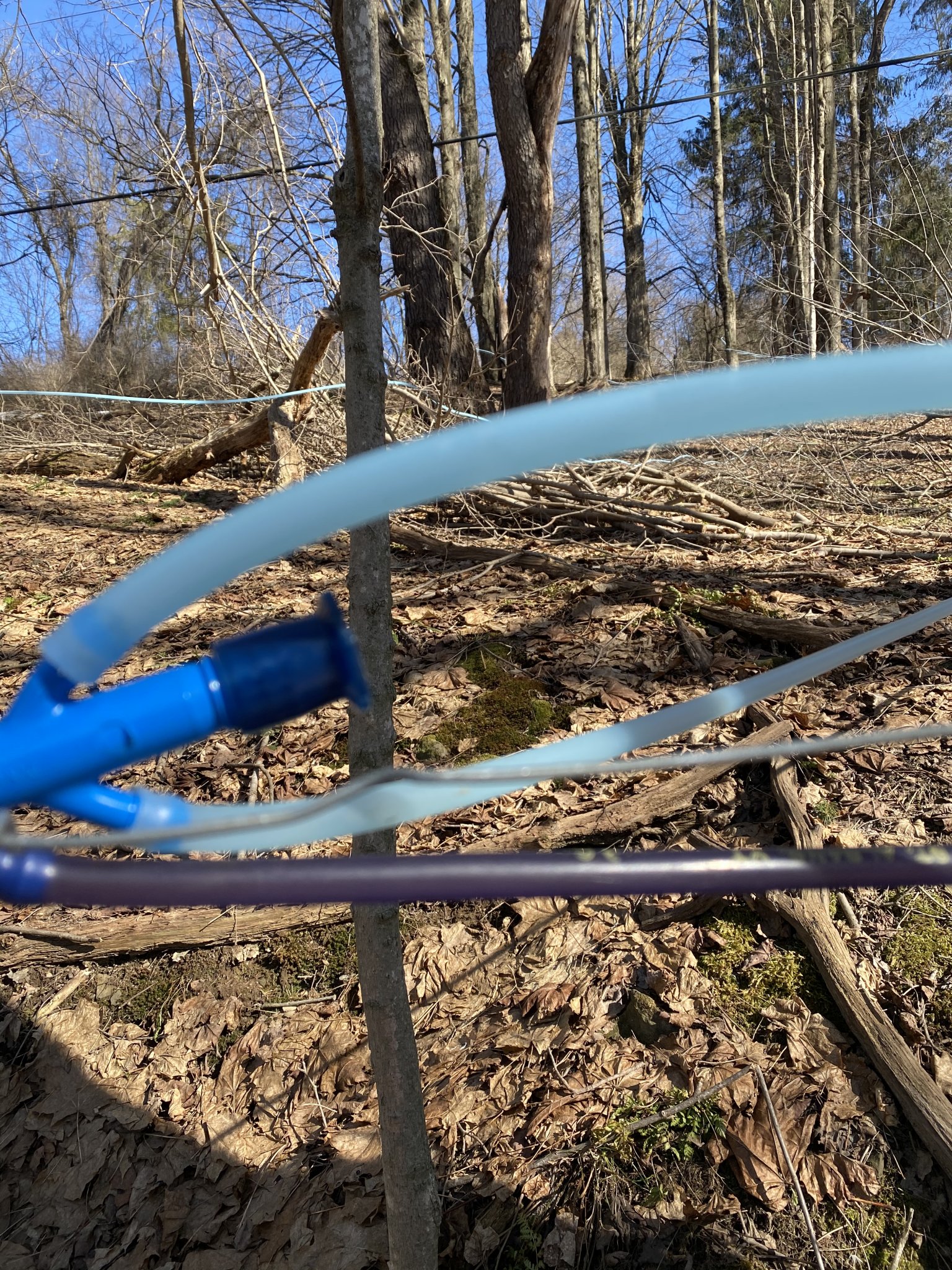 ADCFA29F-C981-4657-8293-76CCF3B71558.jpeg