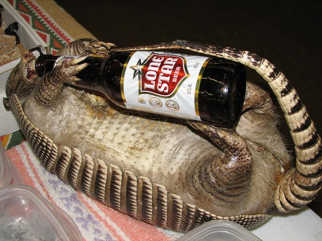 Dead-armadillo-with-beer.jpg