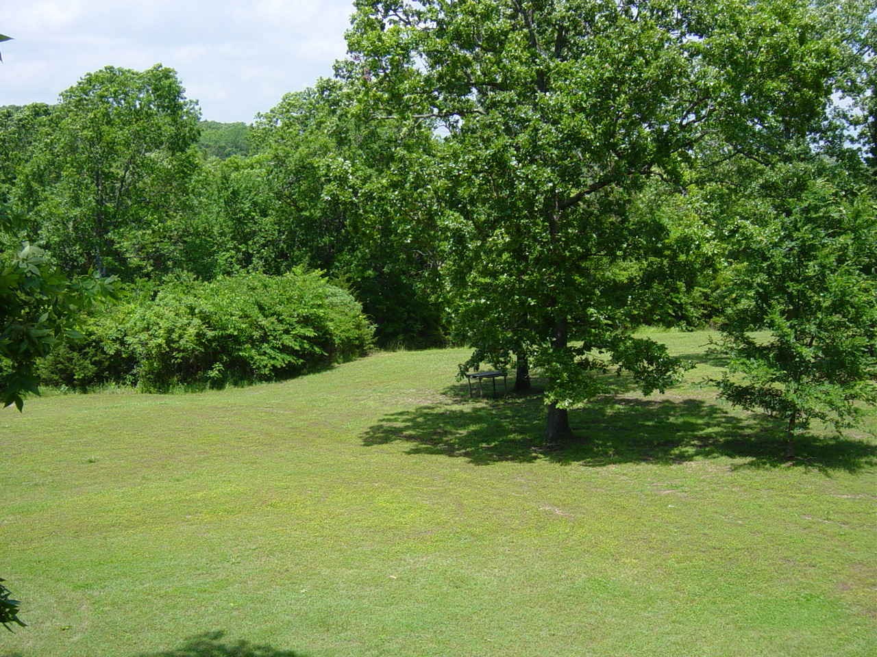 DSC00049.JPG