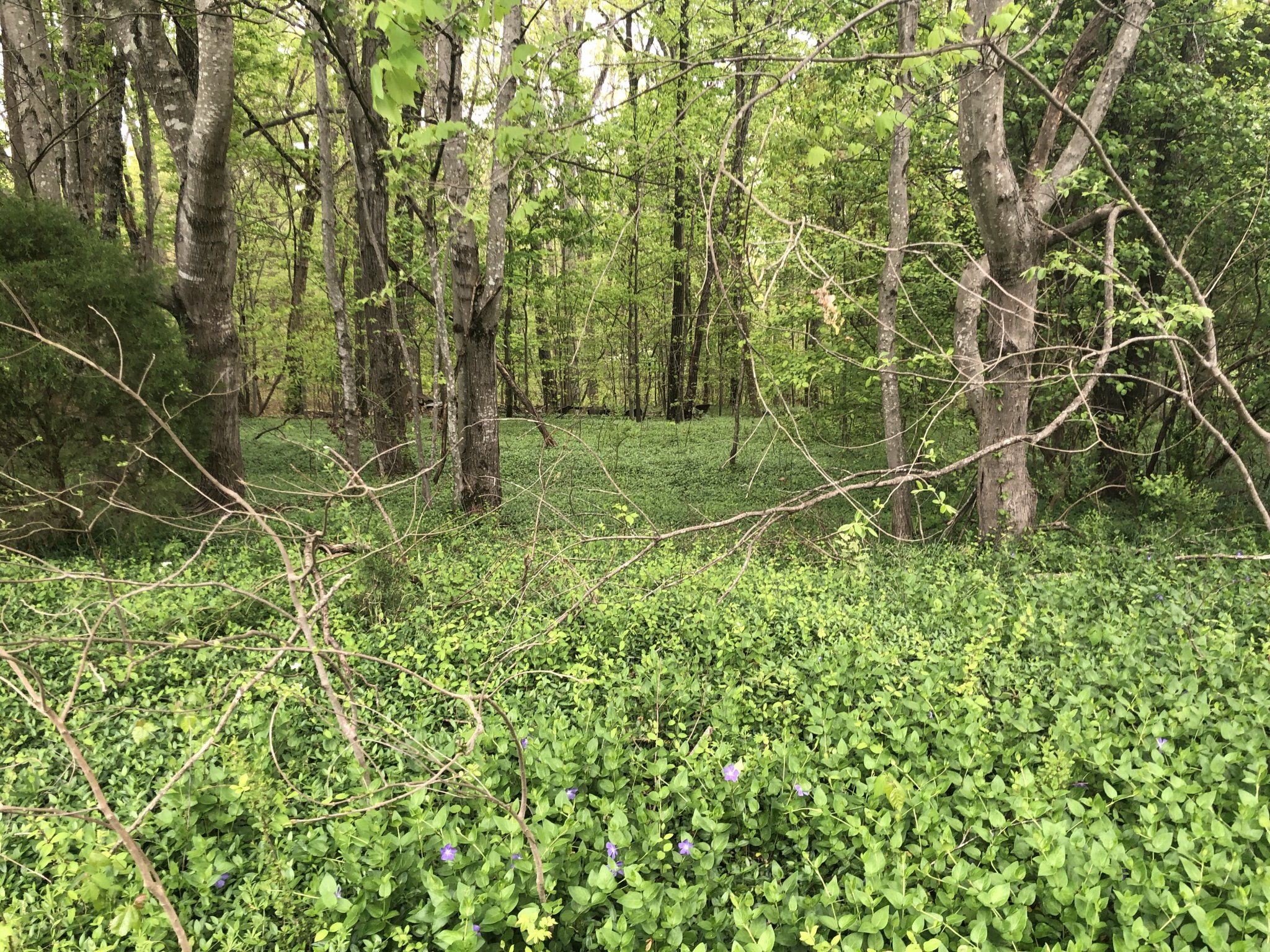 FAA3D6A0-1597-440E-846B-75A39A3DBBA1.jpeg