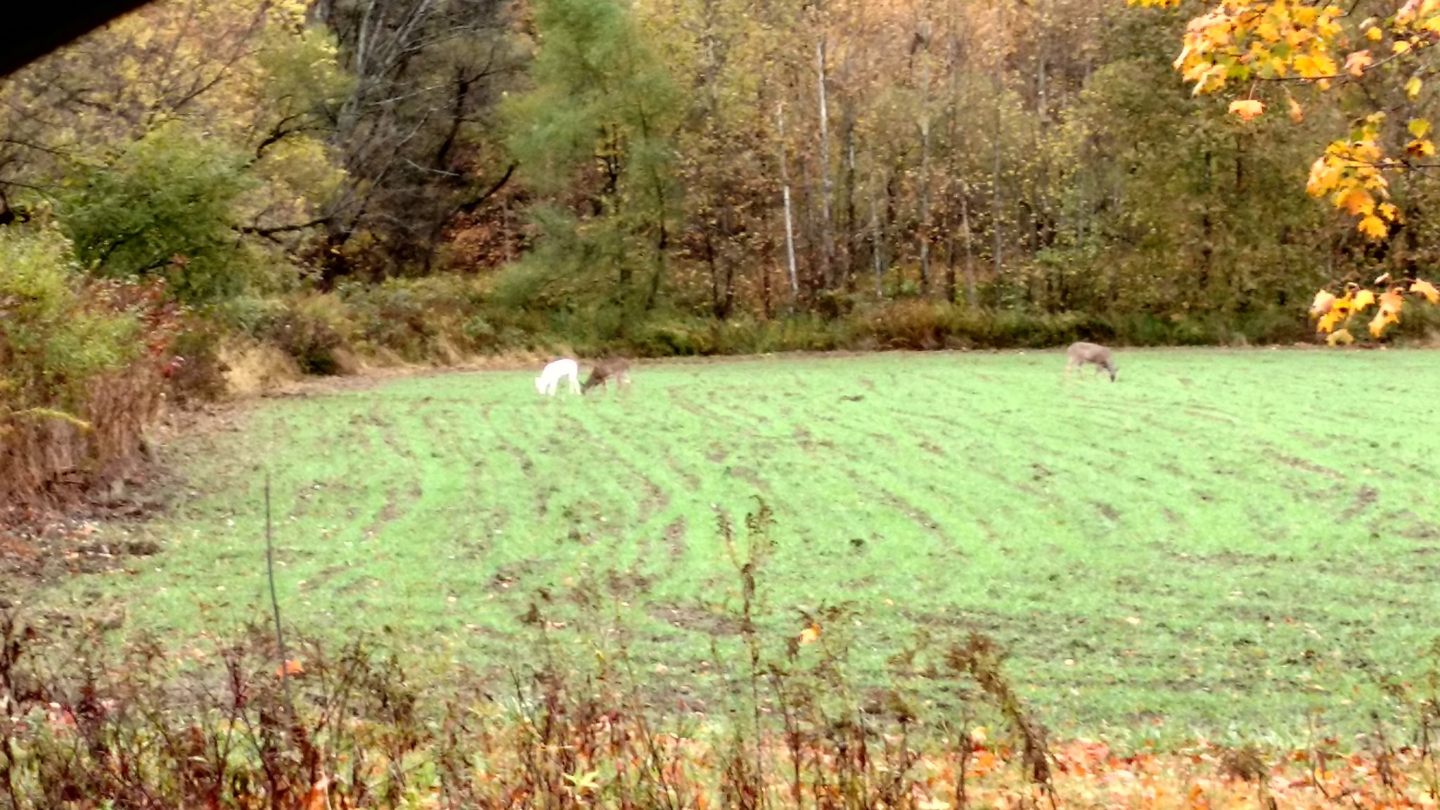 IMG_20201020_162136051_HDR.jpg
