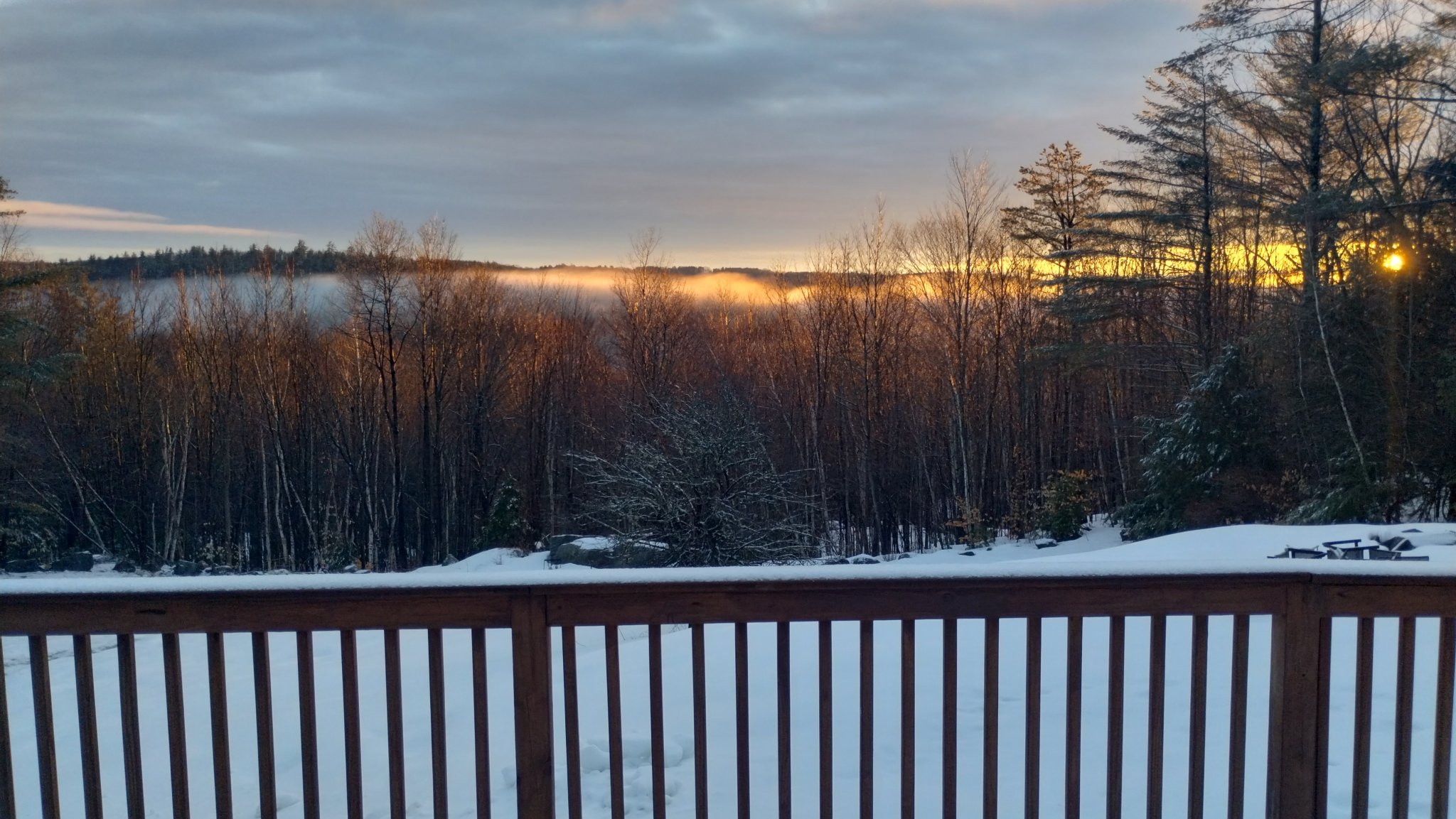 IMG_20230326_064924507_HDR.jpg