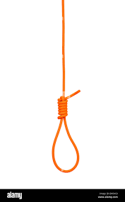 index.png