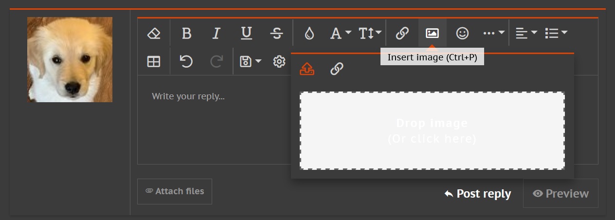 insert image.jpg