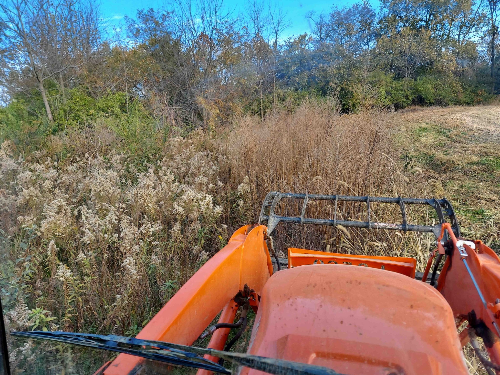Mowing .jpg