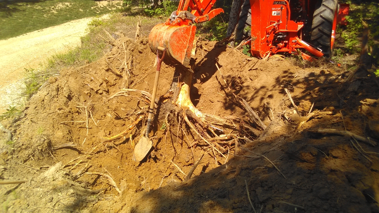 stump.jpg