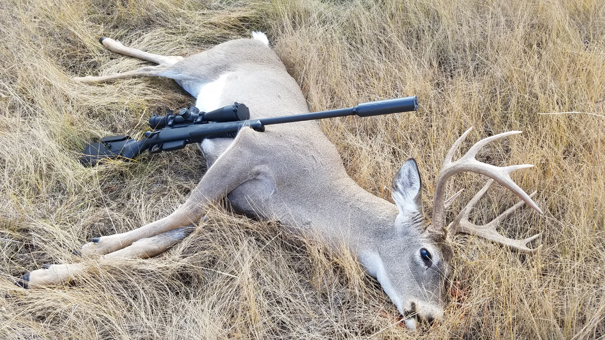 tikka_deer.jpg