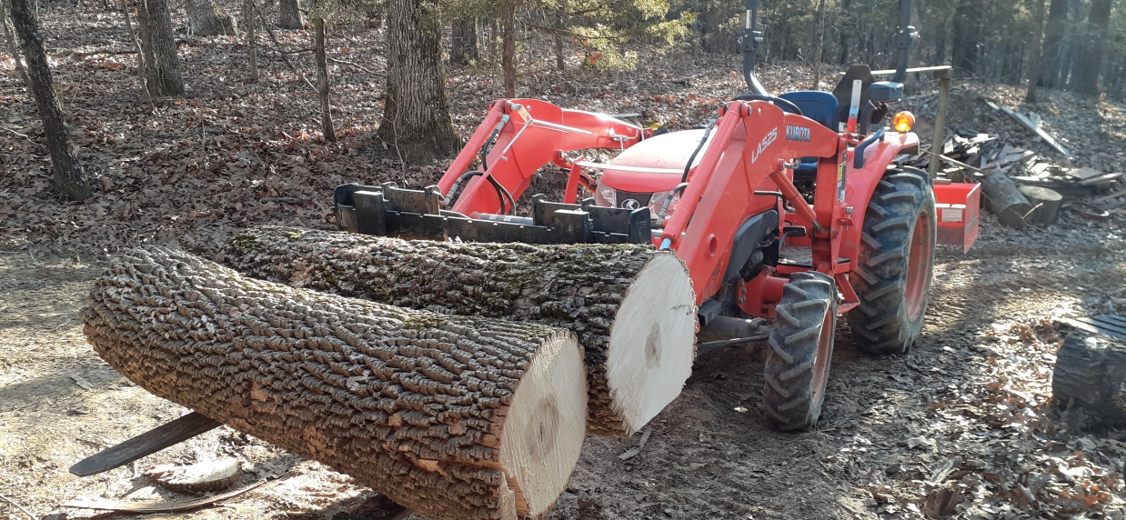 two_log.jpg