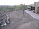 Backyard Demo 7-2.jpg