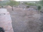 Backyard Demo 7-5.jpg