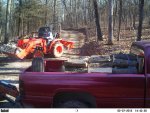 kubota_firewood.jpg