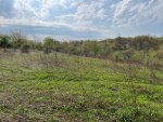 IMG_3872.jpg