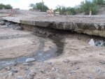 2014 Monsoons (post)-4.jpg