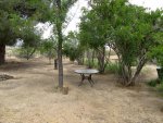 IMG_3618 copy.jpg