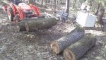 firewood.jpg