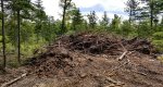 Polebarn site before 5-750x400.jpg