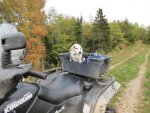 IMG_1929.jpeg