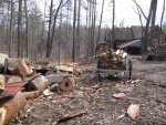 gw wood.jpg