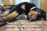 Tucker Out Dog.jpg