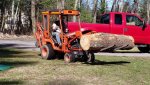 sawmill_1_s.jpg