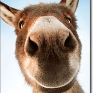 Talkstogoats