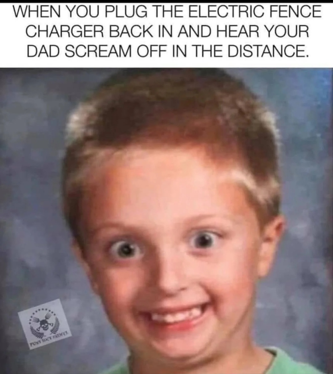 1000011152.jpg