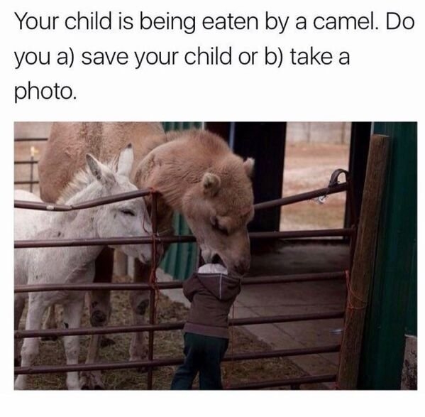 1000011439.jpg