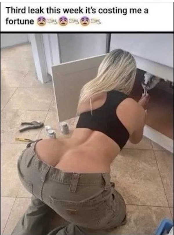 1000013978.jpg