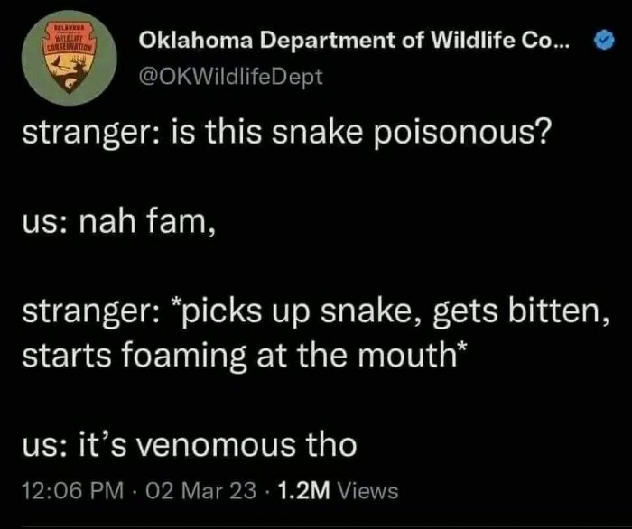 1000014029.jpeg