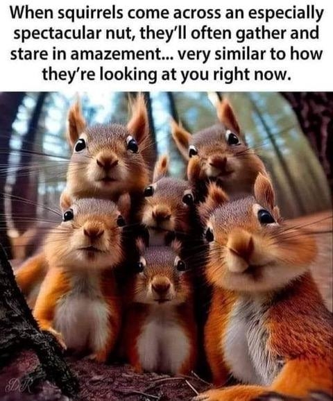 1000014244.jpg