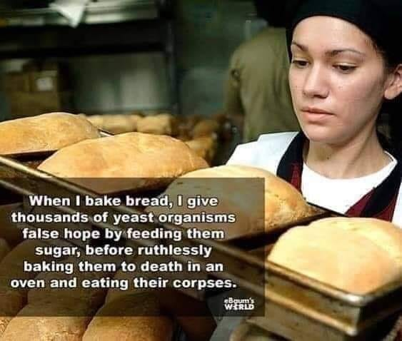 1000014297.png