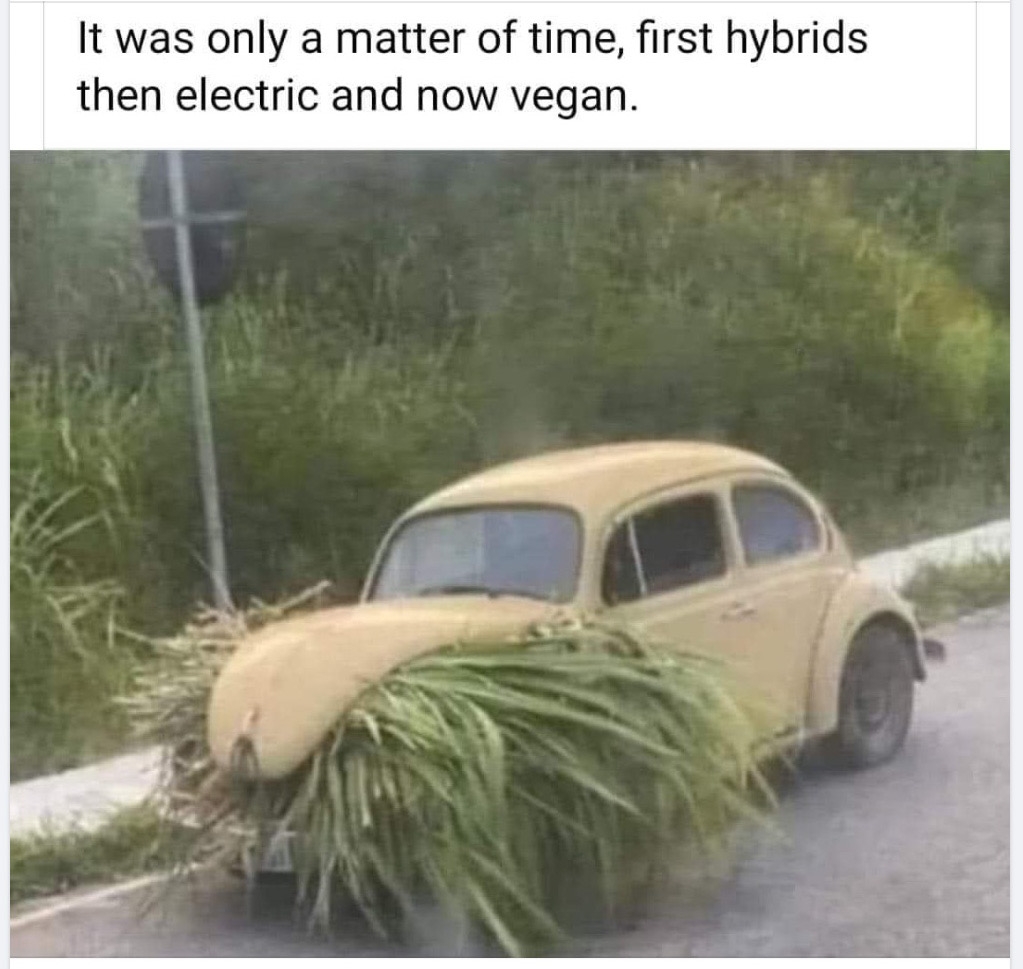 1000014326.jpg