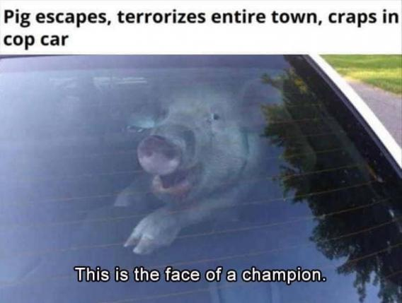 1000014338.png