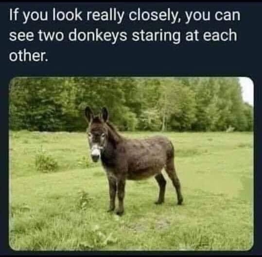 1000014390.jpg