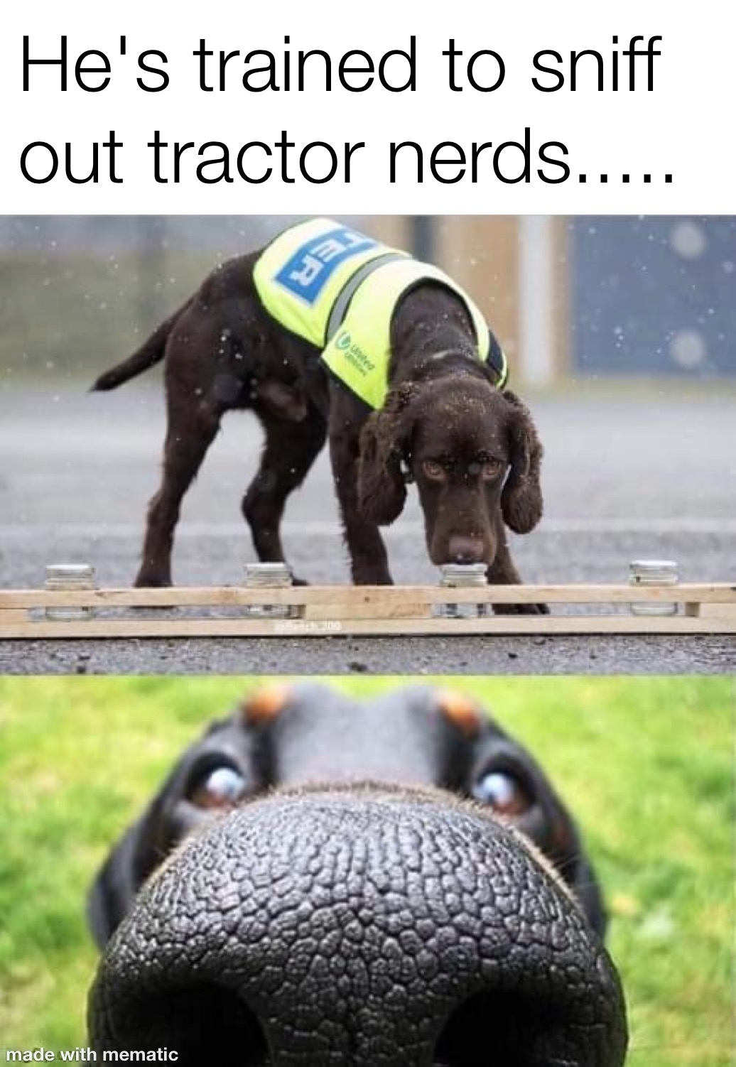 1000014512.jpg