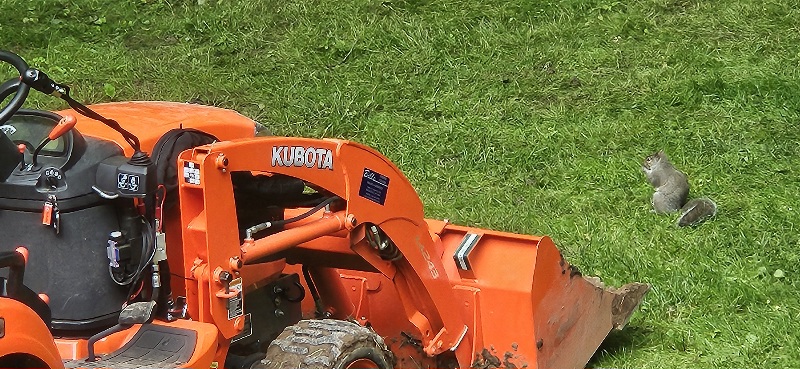 1000014855.jpg