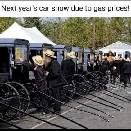 1000015095.jpg