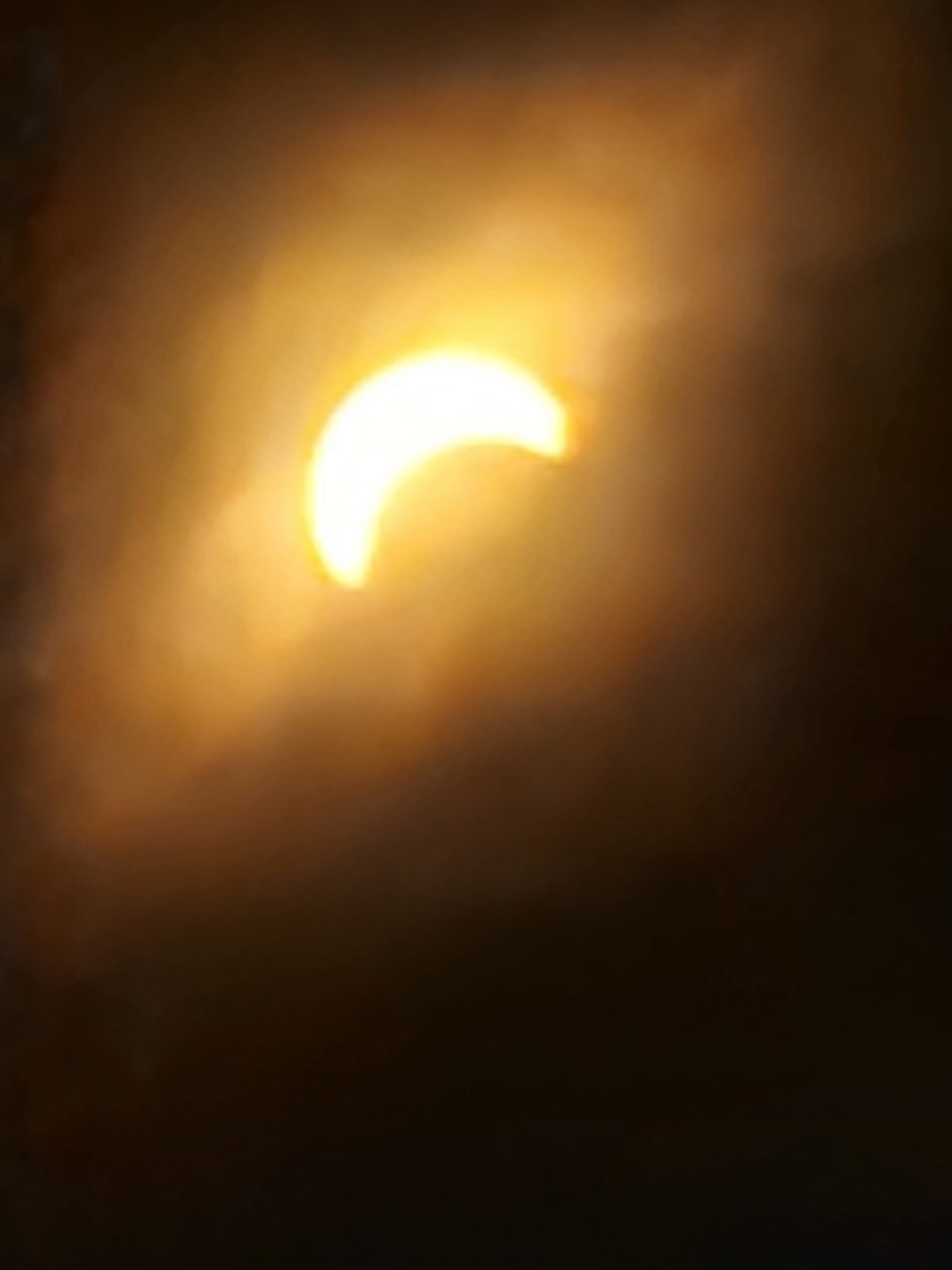1000015132.jpg