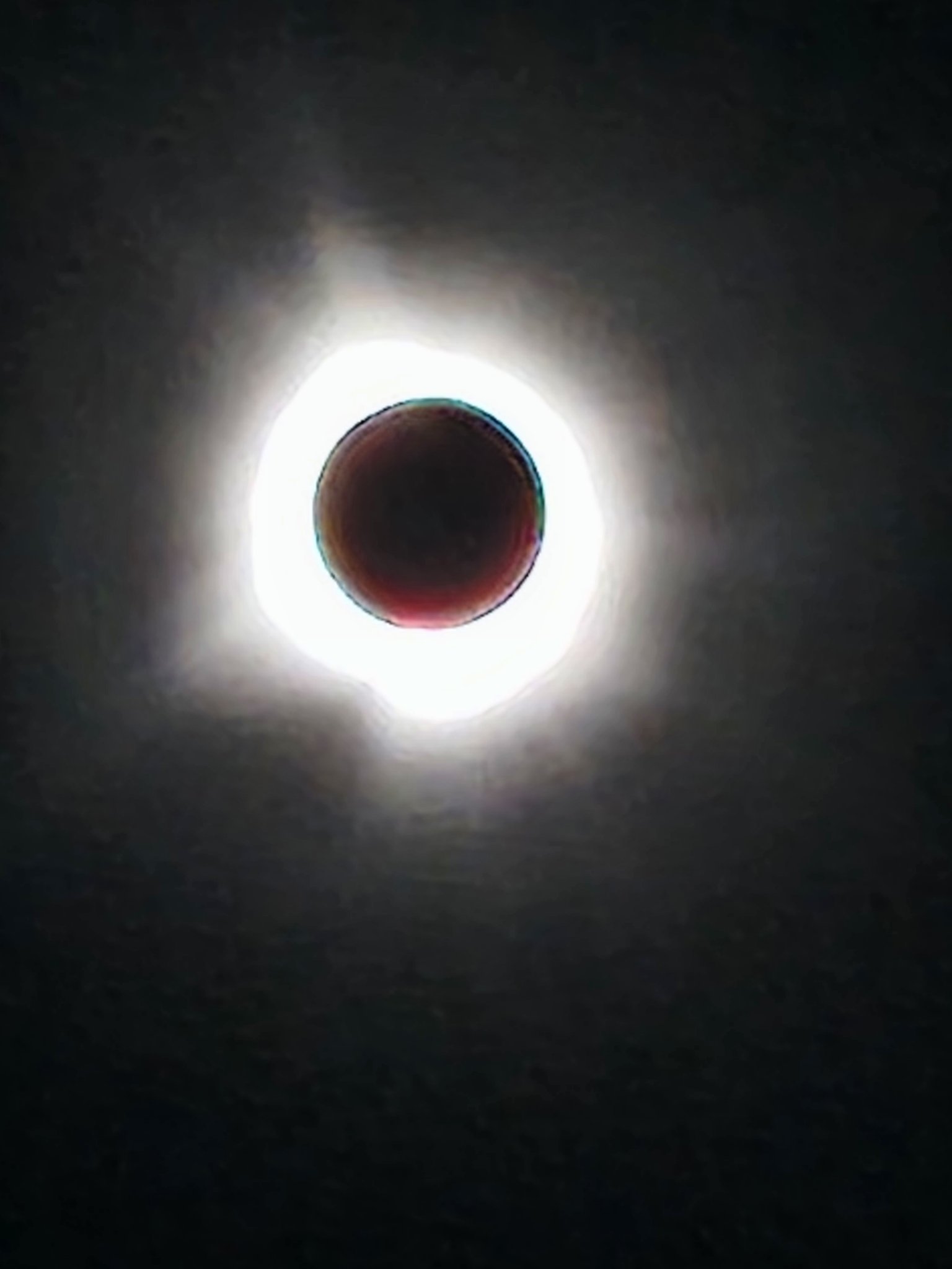 1000015183.jpg